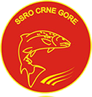 SSROCG